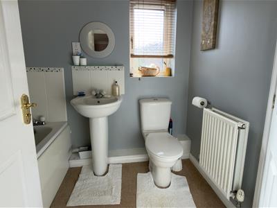 Picture 24